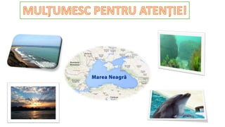 pp atestat-marea neagra.pptx