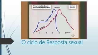 O ciclo de Resposta sexual
 