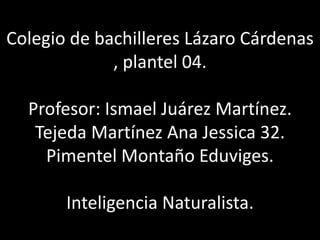 Colegio de bachilleres Lázaro Cárdenas
, plantel 04.
Profesor: Ismael Juárez Martínez.
Tejeda Martínez Ana Jessica 32.
Pimentel Montaño Eduviges.
Inteligencia Naturalista.
 
