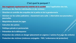 Violences conjugales et addiction par M. Raphaël BALLAND - Procureur de la République près le tribunal judiciaire de Béziers
