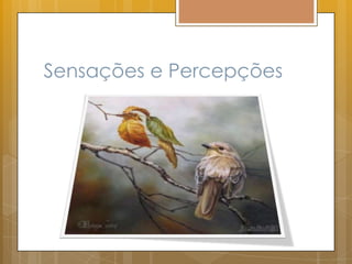 Sensações e Percepções
 