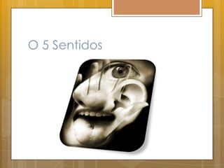 O 5 Sentidos
 