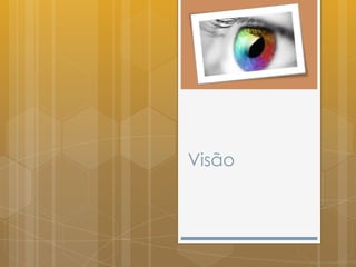 Visão
 