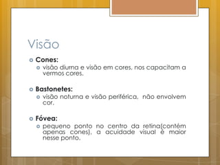 Visão
 Cones:
 visão diurna e visão em cores, nos capacitam a
vermos cores.
 Bastonetes:
 visão noturna e visão periférica, não envolvem
cor.
 Fóvea:
 pequeno ponto no centro da retina(contém
apenas cones), a acuidade visual é maior
nesse ponto.
 