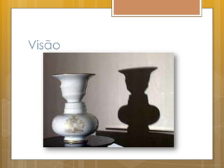 Visão
 