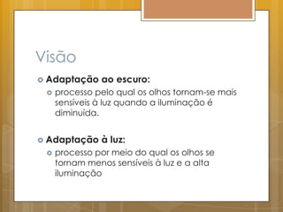 Visão
 Adaptação ao escuro:
 processo pelo qual os olhos tornam-se mais
sensíveis à luz quando a iluminação é
diminuída.
 Adaptação à luz:
 processo por meio do qual os olhos se
tornam menos sensíveis à luz e a alta
iluminação
 