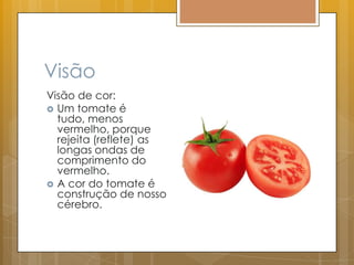 Visão
Visão de cor:
 Um tomate é
tudo, menos
vermelho, porque
rejeita (reflete) as
longas ondas de
comprimento do
vermelho.
 A cor do tomate é
construção de nosso
cérebro.
 