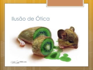 Ilusão de Ótica
 