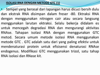 ISOLASI RNA DENGAN METODE GTC (1)
• Sampel yang berasal dari lapangan harus dicuci bersih dulu
dan ekstrak RNA disimpan dalam freser -80. Ektraksi RNA
dengan menggunakan nitrogen cair atau secara langsung
menggunakan larutan ektraksi. Selalu bekerja didalam es
untuk mencegah degradasi RNA dan mengurangi aktivitas
RNAse. Tahapan isolasi RNA dengan menggunakan GTC
metod. Secara umum metode isolasi RNA menggunakan
metode GTC . GTC adalah satu dari yang paling efektiv untuk
mendenaturasi protein untuk efisisensi denaturasi RNAse
endogenus. Modifikasi GTC menggunakan trizol, satu tahap
RNA isolasi dan RNase kit.
 
