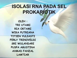 ISOLASI RNA PADA SEL
     PROKARIOTIK
      OLEH :
    TRI UTAMI
   RIA OKTAMI
  WIKA PUTRIANA
 TITIEN YULIASTI
FERLY TRINOVELDI
 SRI WULANDARI
 PUSPA AGUSTINA
  AHMAD FAHZAL
     LAMTIAR
 