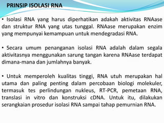 PRINSIP ISOLASI RNA

• Isolasi RNA yang harus diperhatikan adakah aktivitas RNAase
dan struktur RNA yang utas tunggal. RNAase merupakan enzim
yang mempunyai kemampuan untuk mendegradasi RNA.

• Secara umum penanganan isolasi RNA adalah dalam segala
aktivitasnya menggunakan sarung tangan karena RNAase terdapat
dimana-mana dan jumlahnya banyak.

• Untuk memperoleh kualitas tinggi, RNA utuh merupakan hal
utama dan paling penting dalam percobaan biologi molekuler,
termasuk tes perlindungan nukleus, RT-PCR, pemetaan RNA,
translasi in vitro dan konstruksi cDNA. Untuk itu, dilakukan
serangkaian prosedur isolasi RNA sampai tahap pemurnian RNA.
 
