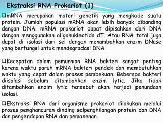 Ekstraksi RNA Prokariot (1)
mRNA merupakan materi genetik yang mengkode suatu
protein. Jumlah populasi mRNA akan lebih banyak dibanding
dengan DNA. mRNA prokariot dapat dipisahkan dari DNA
dengan menggunakan oligonukleotida dT. Atau RNA total juga
dapat di isolasi dari sel dengan menambahkan enzim DNase
yang berfungsi untuk mendegradasi DNA.

Kecepatan dalam pemurnian RNA bakteri sangat penting
karena waktu paruh mRNA bakteri pendek dan membutuhkan
waktu yang cepat dalam proses pembekuan. Beberapa bakteri
diisolasi sebelum ditambahkan enzim lytic. Jika tidak
ditambahkan enzim lytic tersebut akan terjadi penundaan
isolasi.
Ekstraksi RNA dari organisme prokariot dilakukan melalui
proses penghancuran dinding selpenghilangan protein dan DNA
dan pengendapan RNA dan pemanenan.
 