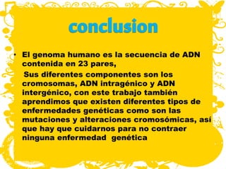 • El genoma humano es la secuencia de ADN
contenida en 23 pares,
Sus diferentes componentes son los
cromosomas, ADN intragénico y ADN
intergénico, con este trabajo también
aprendimos que existen diferentes tipos de
enfermedades genéticas como son las
mutaciones y alteraciones cromosómicas, así
que hay que cuidarnos para no contraer
ninguna enfermedad genética
 