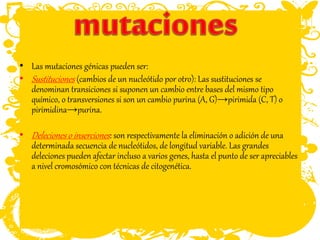 • Las mutaciones génicas pueden ser:
• Sustituciones (cambios de un nucleótido por otro): Las sustituciones se
denominan transiciones si suponen un cambio entre bases del mismo tipo
químico, o transversiones si son un cambio purina (A, G)→pirimida (C, T) o
pirimidina→purina.
• Deleciones o inserciones: son respectivamente la eliminación o adición de una
determinada secuencia de nucleótidos, de longitud variable. Las grandes
deleciones pueden afectar incluso a varios genes, hasta el punto de ser apreciables
a nivel cromosómico con técnicas de citogenética.
 
