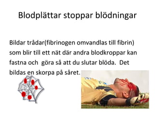 Blodplättar stoppar blödningar

Bildar trådar(fibrinogen omvandlas till fibrin)
som blir till ett nät där andra blodkroppar kan
fastna och göra så att du slutar blöda. Det
bildas en skorpa på såret.
 