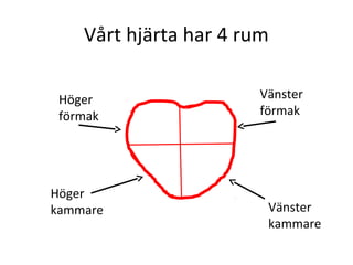 Vårt hjärta har 4 rum

 Höger                 Vänster
 förmak                förmak




Höger
kammare                 Vänster
                        kammare
 