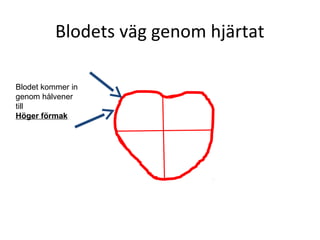 Blodets väg genom hjärtat

Blodet kommer in
genom hålvener
till
Höger förmak
 