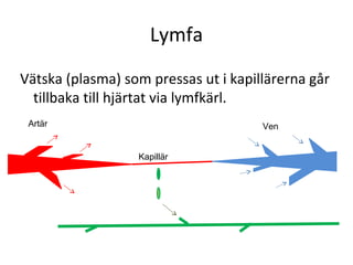 Lymfa
Vätska (plasma) som pressas ut i kapillärerna går
  tillbaka till hjärtat via lymfkärl.
 Artär                                Ven


                  Kapillär
 