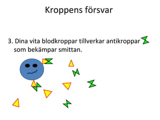 Kroppens försvar


3. Dina vita blodkroppar tillverkar antikroppar
  som bekämpar smittan.
 