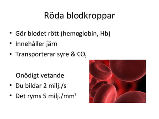 Röda blodkroppar
• Gör blodet rött (hemoglobin, Hb)
• Innehåller järn
• Transporterar syre & CO2


  Onödigt vetande
• Du bildar 2 milj./s
• Det ryms 5 milj./mm3
 