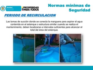 Normas mínimas de
Seguridad
PERIODO DE RECIRCULACION
Las tomas de succión donde se conecta la manguera para aspirar el agua
contenida en el estanque o estructura similar cuando se realiza el
mantenimiento, deben localizarse a intervalos suficientes para alcanzar el
total del área del estanque.

 
