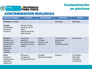Contaminación
en piscinas

CONTAMINACION BIOLOGICA
MICROORGANISMO

CUTANEO

RESPIRATORIA

Protozoos: Amebas

DIGESTIVO

OTROS

Disentería

Meningitis

Hongos
Dermatofitos
Levaduras
Florituras

Micosis: Herpes
circinado, pie de
atleta.
Infecciones de los
dedos del pie

Bacterias
Estafilococos
Estreptococos
Psuedomona
auriginosa
Salmonela
Shigella
Legionela

Firoculosis
piodermia
Dermatitis folicular
Granuloma (codo,
rodilla)

Rinitis
Faringitis
Anginas, otitis
Neumonía

Fiebre tifoidea y
paratifoidea
Diarreas
Disentería bacilar

Conjuntivitis

Virus
Poxavirus
Papilomavirus
Hepatitis A
Adenovirus

Moliuscum
contagiosum
Verrugas plantares

Faringitis
Infecciones agudas

Diarreas

Poliomelitis
Meningitis
Hepatitis A
Conjuntivitis

 