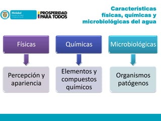 Características
físicas, químicas y
microbiológicas del agua

Físicas

Químicas

Microbiológicas

Percepción y
apariencia

Elementos y
compuestos
químicos

Organismos
patógenos

 