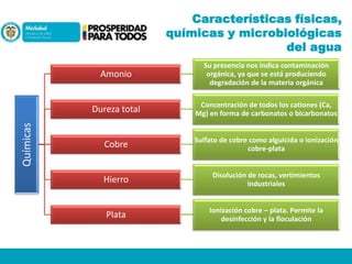 Características físicas,
químicas y microbiológicas
del agua

Dureza total

Químicas

Amonio

Su presencia nos indica contaminación
orgánica, ya que se está produciendo
degradación de la materia orgánica
Concentración de todos los cationes (Ca,
Mg) en forma de carbonatos o bicarbonatos

Cobre

Sulfato de cobre como alguicida o ionización
cobre-plata

Hierro

Disolución de rocas, vertimientos
industriales

Plata

Ionización cobre – plata. Permite la
desinfección y la floculación

 