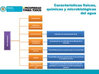 Características físicas,
químicas y microbiológicas
del agua
Heterótrofos

Coliformes
termotolerantes

Microbiológicas

Escherichia Coli

Indicador de contaminación fecal

Pseudomona
aeruginosa

Su presencia en un indicador de la eficacia de la
cloración

Cryptosporidium
parvum

Transmitidos persona a persona por la vía oral-fecal

Giardia

Transmitidos persona a persona por la vía oral-fecal.
Es resistente al cloro

Staphylococcus
aereus, Legionella
ssp

Se encuentra como flora normal en la nariz de
portadores o en lesiones en la piel causada por la
bacteria

 