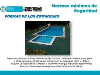 Normas mínimas de
Seguridad
FORMAS DE LOS ESTANQUES

Los estanques o estructuras similares de las piscinas, que tengan túneles sumergidos
u otras estructuras similares que comuniquen los estanques entre sí, deben
disponer de mecanismos, sistemas o procedimientos que impidan el acceso de los
bañistas a los túneles sumergidos u otras estructuras similares.

 