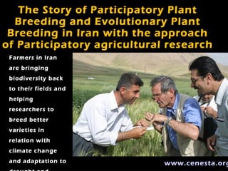 The Story of Participatory Plant
  Breeding and Evolutionary Plant
 Breeding in Iran with the approach
of Participatory agricultural research
 Farmers in Iran
 are bringing
 biodiversity back
 to their fields and
 helping
 researchers to
 breed better
 varieties in
 relation with
 climate change
 and adaptation to           www.cenesta.org
 