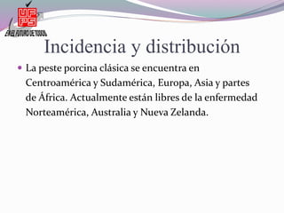 Incidencia y distribución
 La peste porcina clásica se encuentra en
Centroamérica y Sudamérica, Europa, Asia y partes
de África. Actualmente están libres de la enfermedad
Norteamérica, Australia y Nueva Zelanda.
 