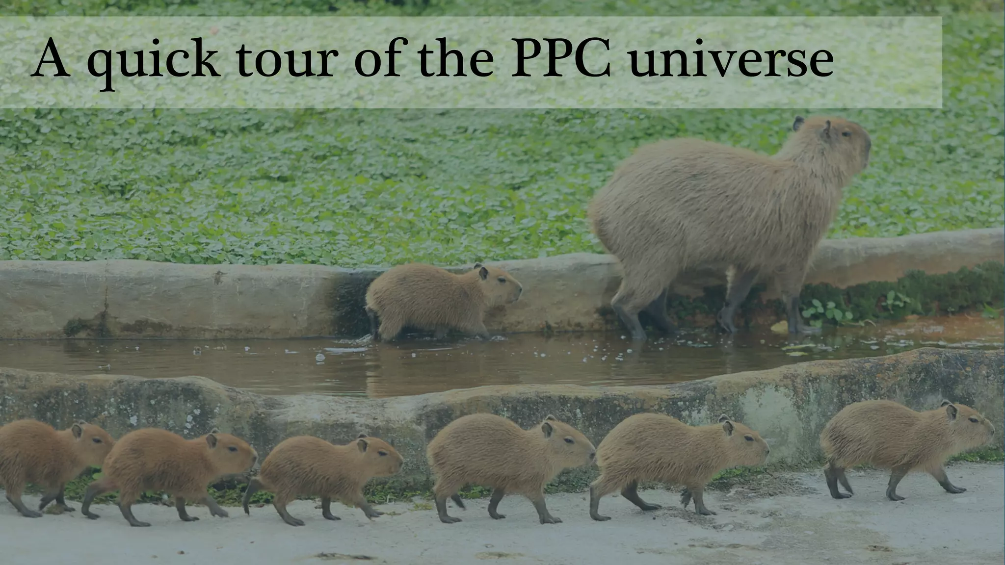 A quick tour of the PPC universe
 