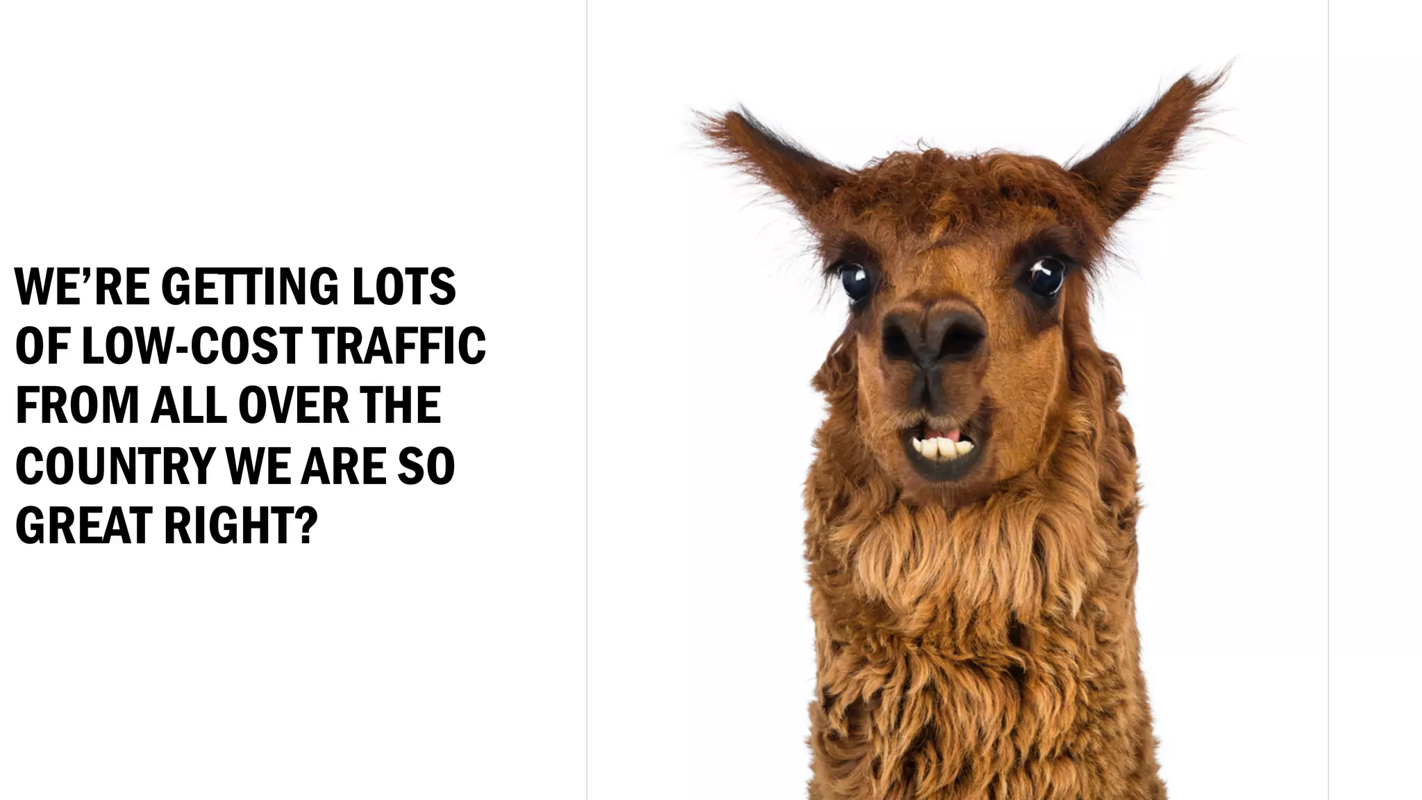 WE’RE GETTING LOTS
OF LOW-COST TRAFFIC
FROM ALL OVER THE
COUNTRY WE ARE SO
GREAT RIGHT?
 