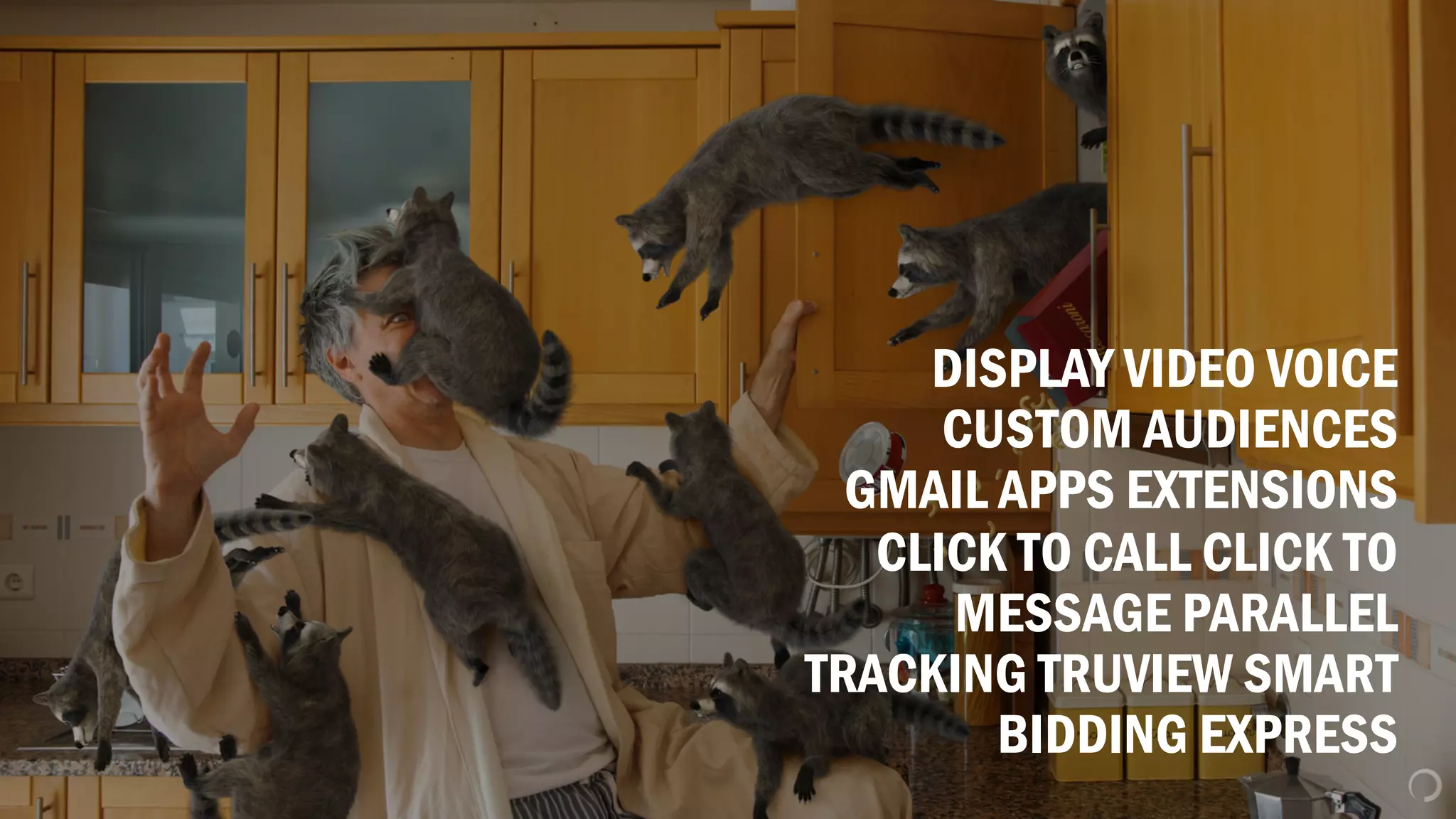 DISPLAY VIDEO VOICE
CUSTOM AUDIENCES
GMAIL APPS EXTENSIONS
CLICK TO CALL CLICK TO
MESSAGE PARALLEL
TRACKING TRUVIEW SMART
BIDDING EXPRESS
 