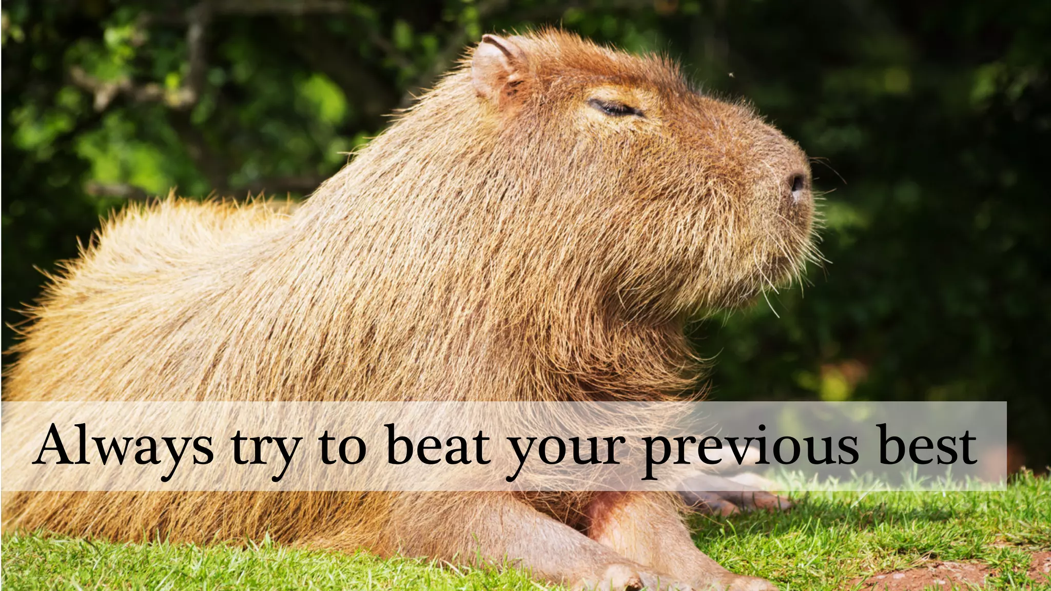 @portentint
Always try to beat your previous best
 