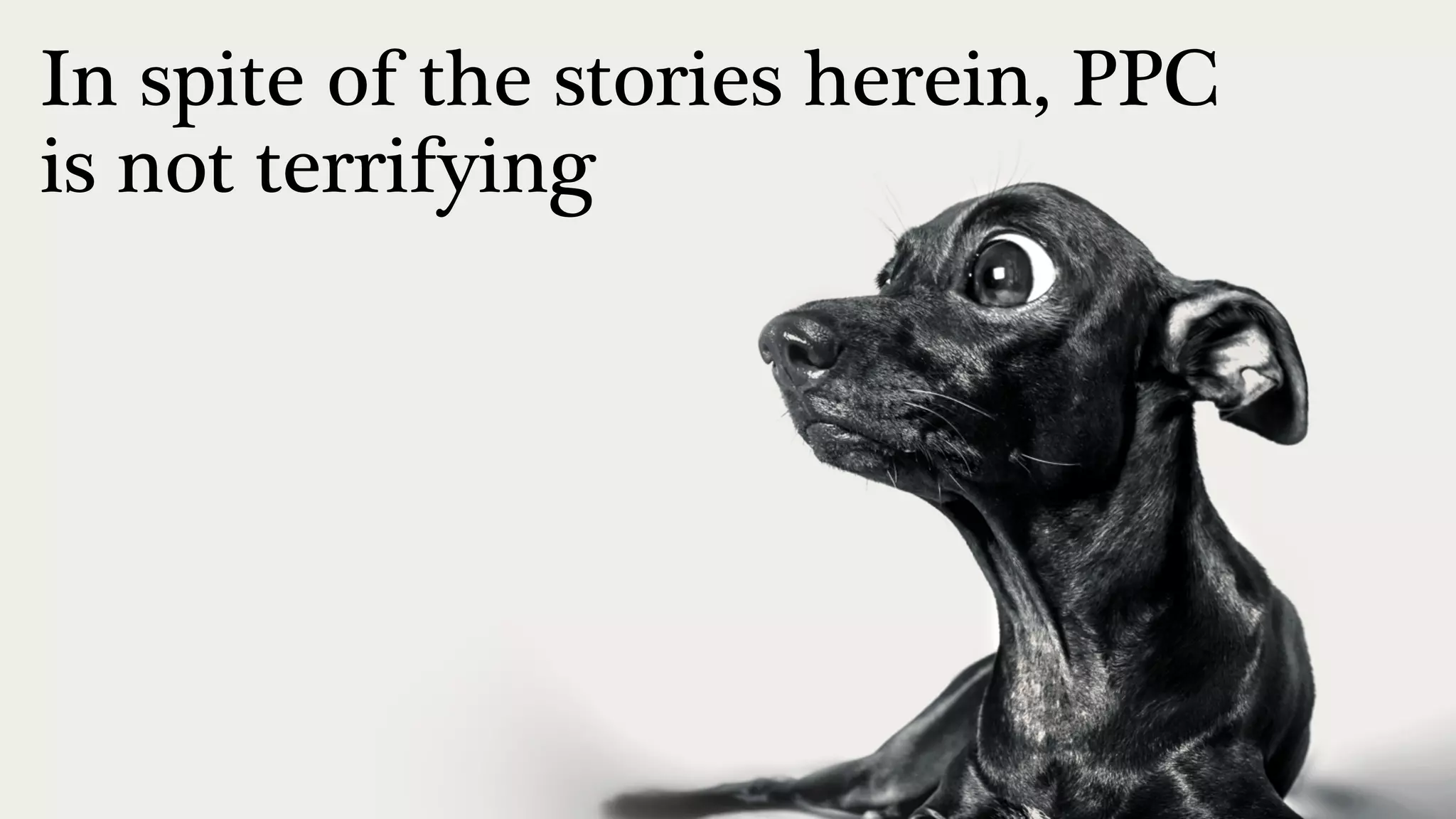 @portentint
In spite of the stories herein, PPC
is not terrifying
 