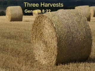 Three Harvests Genesis 8:22 