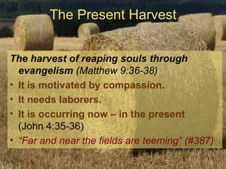 The Present Harvest The harvest of reaping souls through evangelism  (Matthew 9:36-38) It is motivated by compassion. It needs laborers. It is occurring now – in the present  (John 4:35-36) “ Far and near the fields are teeming” (#387) 