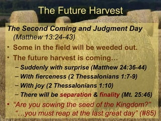 The Future Harvest The Second Coming and Judgment Day  (Matthew 13:24-43) Some in the field will be weeded out. The future harvest is coming… Suddenly with surprise (Matthew 24:36-44) With fierceness (2 Thessalonians 1:7-9) With joy (2 Thessalonians 1:10) There will be  separation  &  finality  (Mt. 25:46) “ Are you sowing the seed of the Kingdom?”  “…you must reap at the last great day” (#85) 