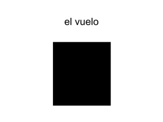 el vuelo