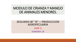 MODULO DE CRIANZA Y MANEJO
DE ANIMALES MENORES.
SEGUNDO BT “A” – PRODUCCION
AGROPECUARIA
FASE 3
SEMANA 16
 