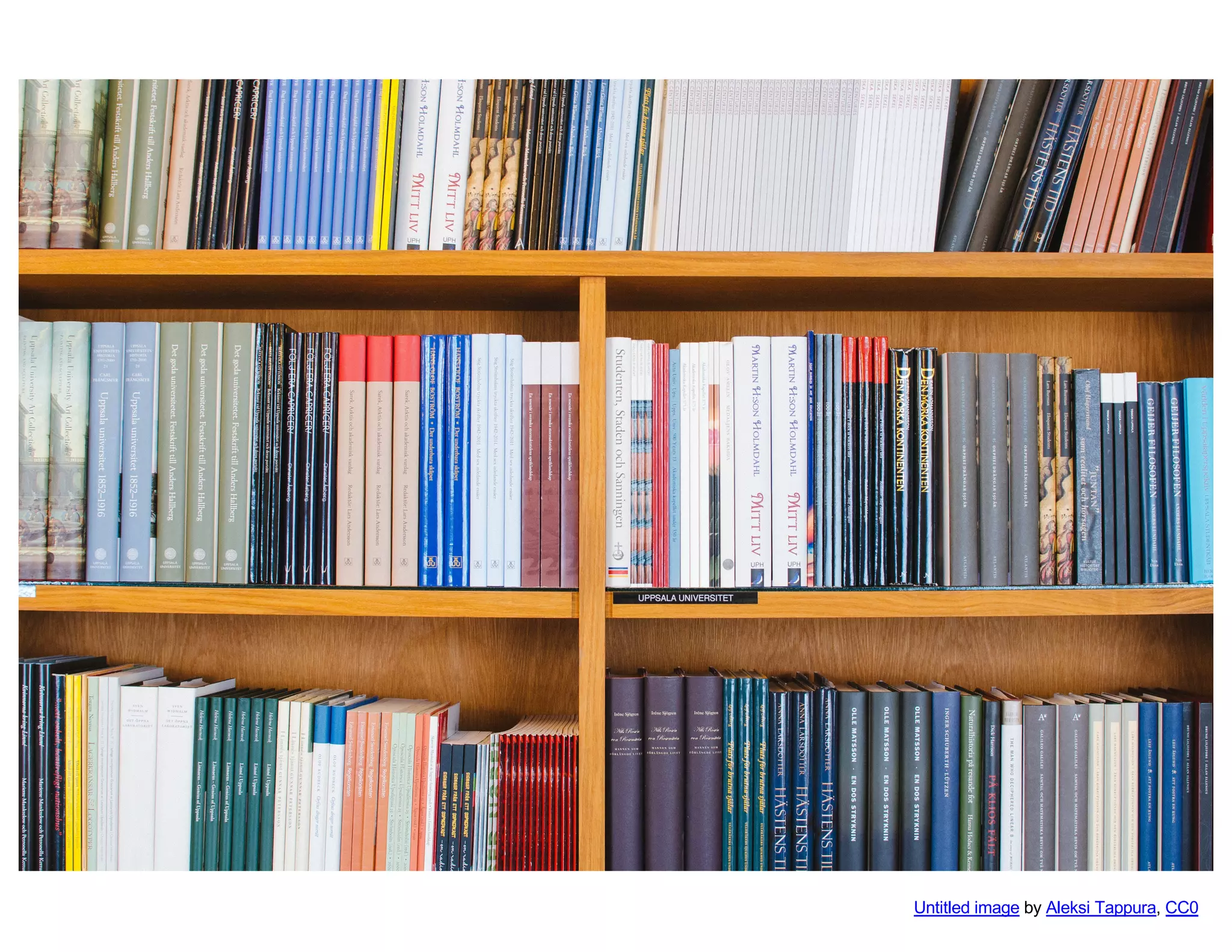 Untitled image by Aleksi Tappura, CC0
 