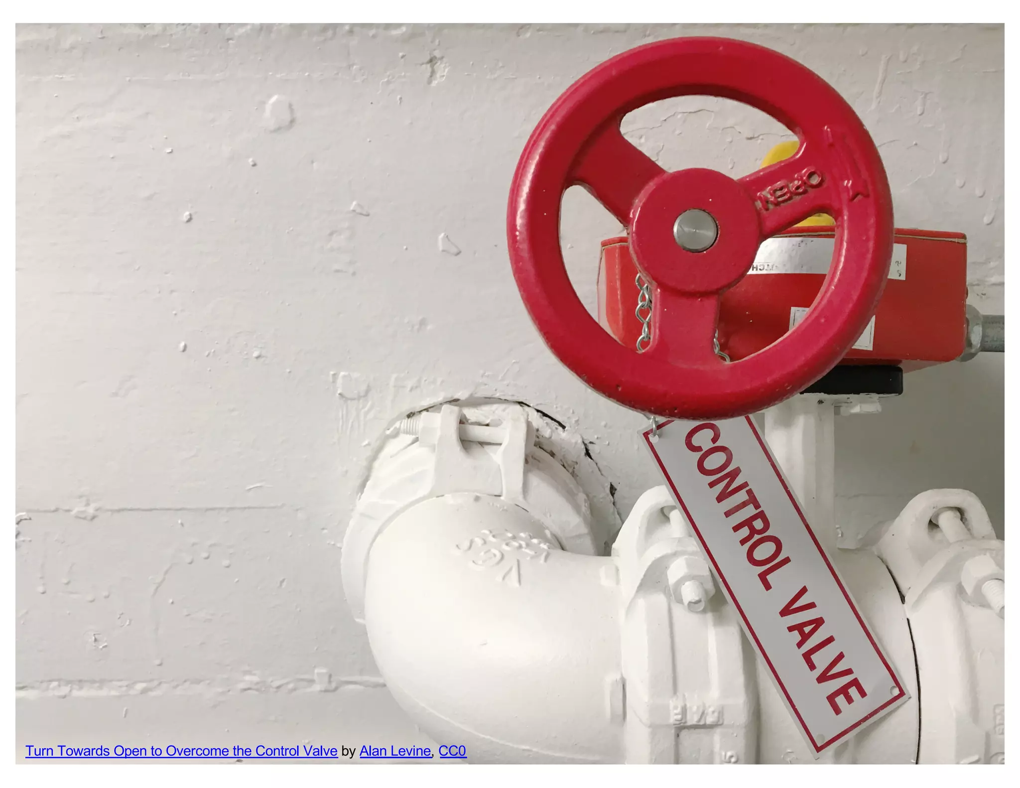 Turn Towards Open to Overcome the Control Valve by Alan Levine, CC0
 