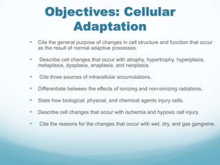 PP Cellular Adaptation .ppt