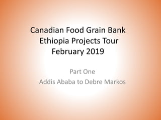 Canadian Food Grain Bank
Ethiopia Projects Tour
February 2019
Part One
Addis Ababa to Debre Markos
 