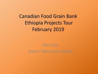 Canadian Food Grain Bank
Ethiopia Projects Tour
February 2019
Part Two
Debre Tabor and Lalibela
 