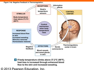163 ch 01_lecture_presentation | PPT