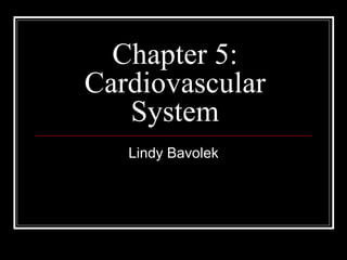 Chapter 5: Cardiovascular System Lindy Bavolek 