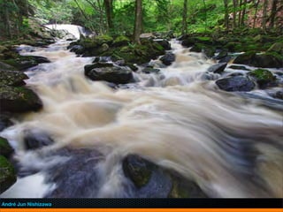 JIT




André Jun Nishizawa
 